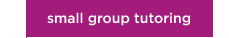 small group tutoring